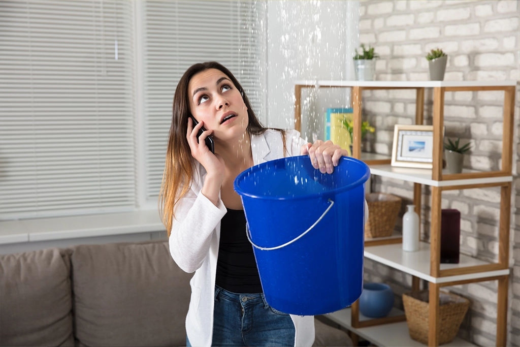 Image for Electrical safety during a flood - Woman holding bucket